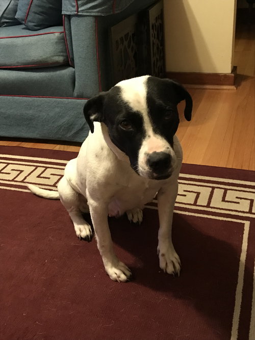 Delilah