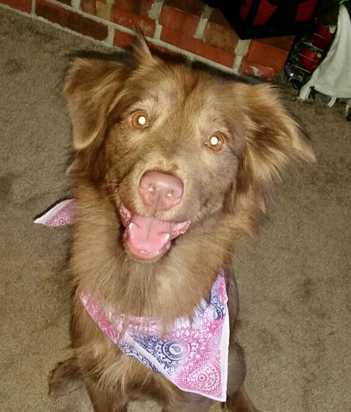 Coco
