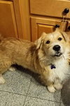 Duffy
