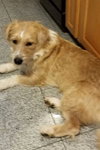 Duffy