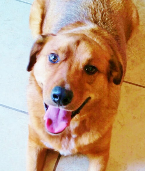 Max