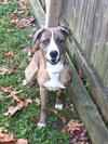Barkley