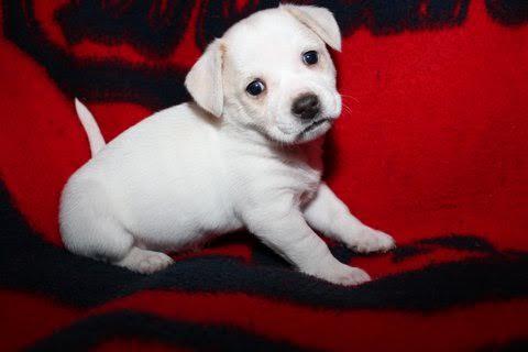 Casper