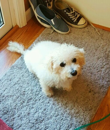 Chloe