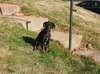 Martie