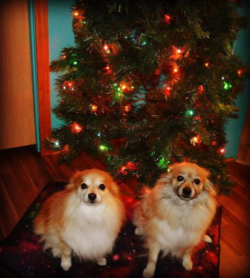 Minnie & Daisy
