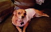 Abby