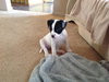 Missy