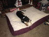 Cooper