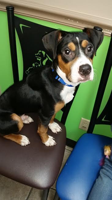 Cooper
