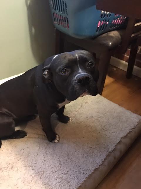 Tyson