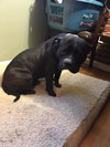 Tyson