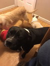 Tyson