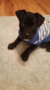 Laney