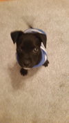 Laney