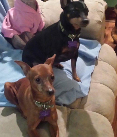 Chico & Shallow