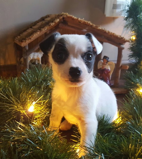 Ruby Sue