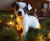 Ruby Sue