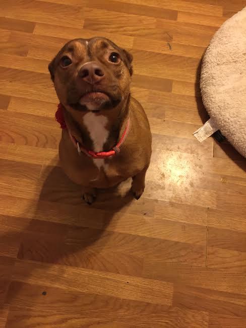 Roxie