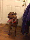 Roxie