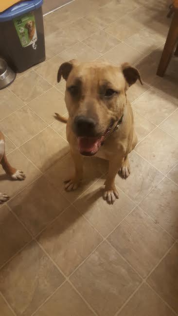 Bubba