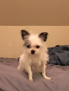 Jayden