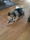 Sissy Mae
