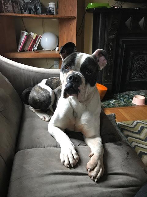 Valerie