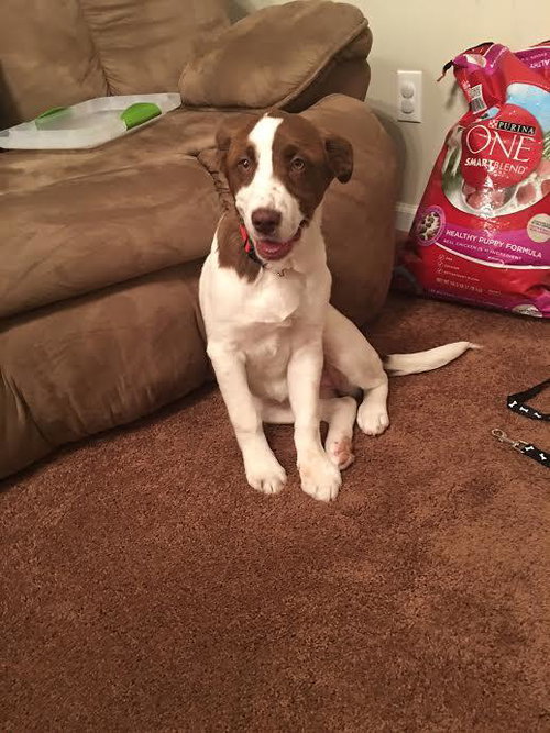 Sophie
