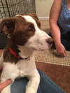 Sophie