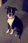 Addison