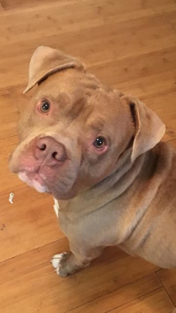 Walter