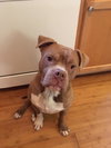 Walter