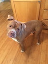 Walter
