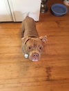 Walter