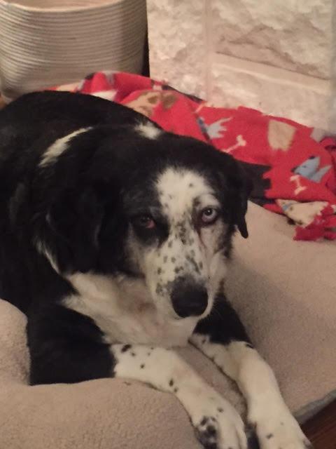 Sophie