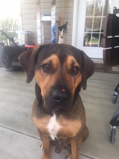 Tyson