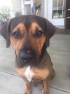 Tyson