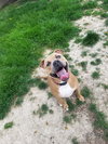 Nova
