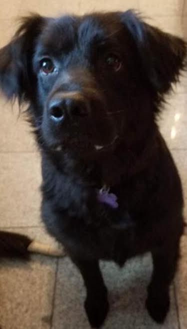Lucy