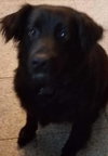 Lucy