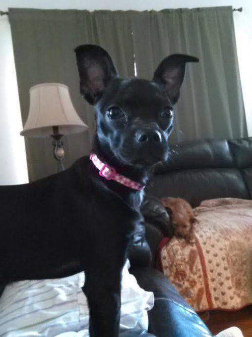 Suzie