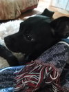 Suzie
