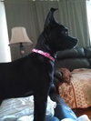 Suzie