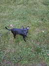 Suzie
