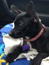 Ruthie