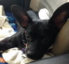 Ruthie