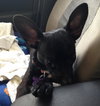 Ruthie