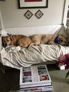 Max & Coco