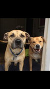 Max & Coco